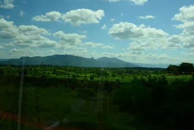 DSC_9665 (Large).JPG